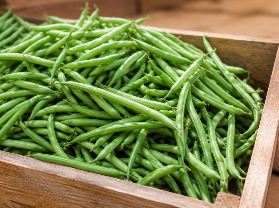 Green Beans for wholesale produce buyers