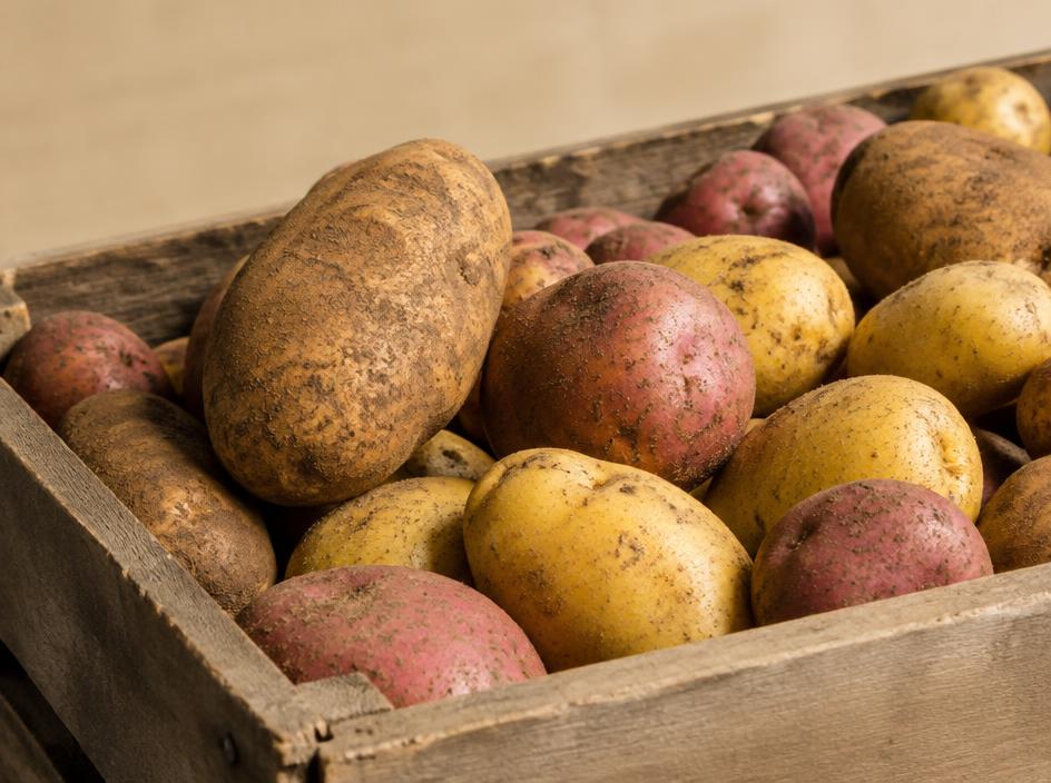 Potatoes for wholesale produce buyers