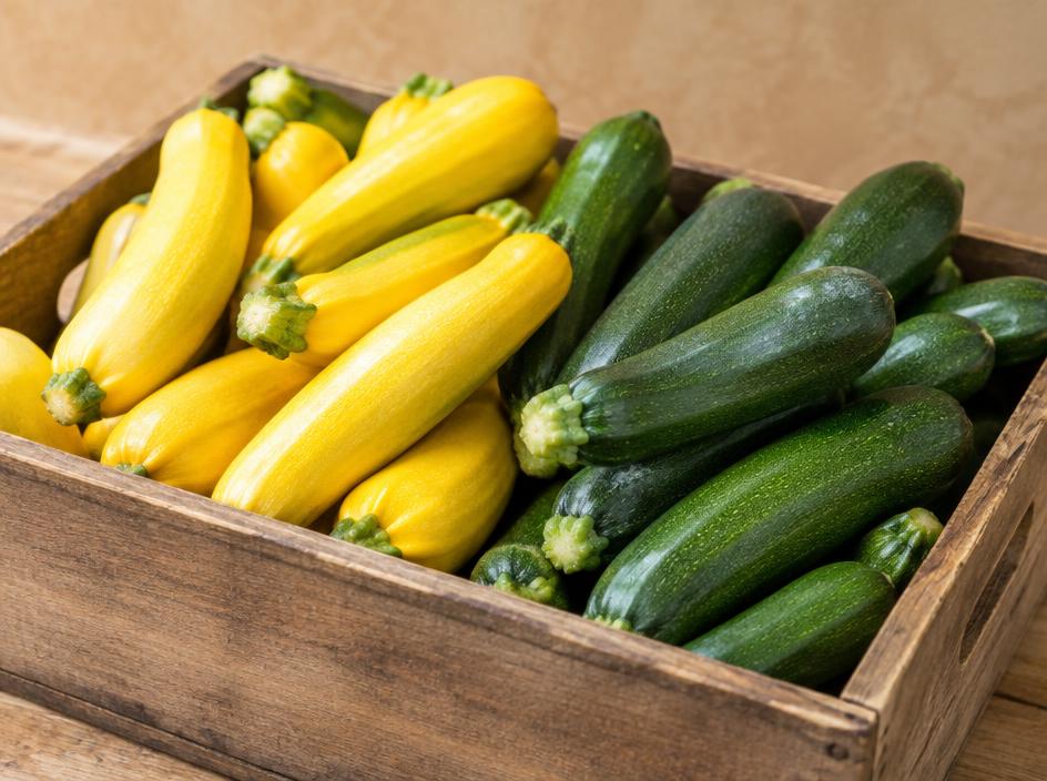 Squash for wholesale produce buyers
